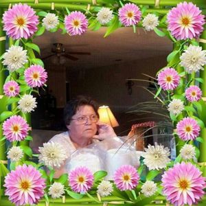 Meet your Posher, Glenna